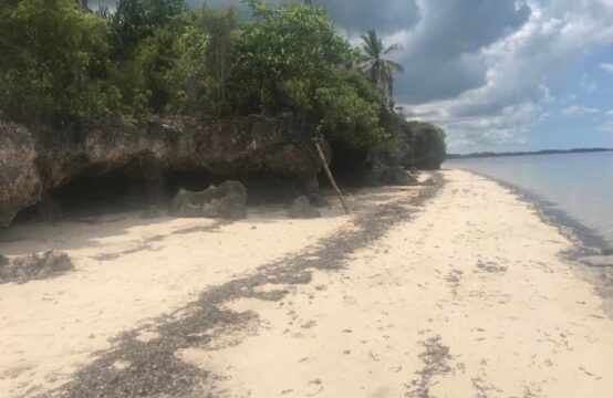 Beautiful white sand beach plot for SALE/10138