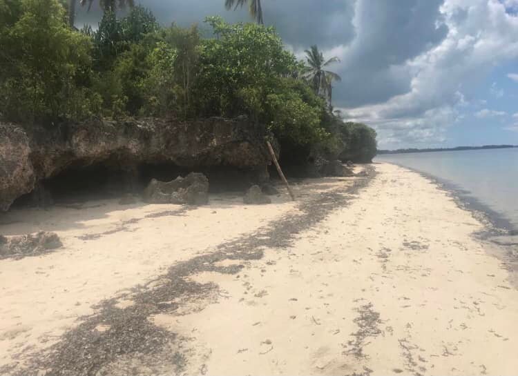 Beautiful white sand beach plot for SALE/10138