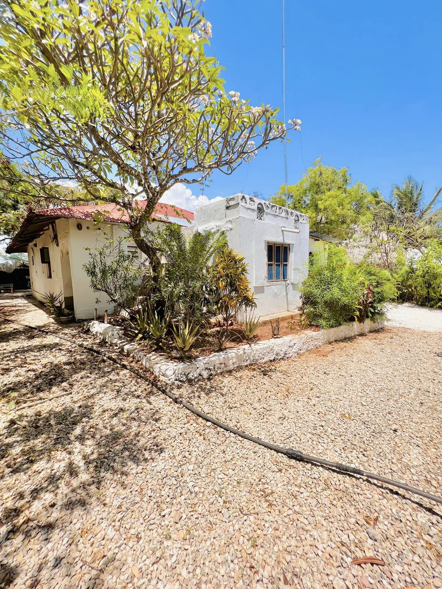 House for rent in Jambiani