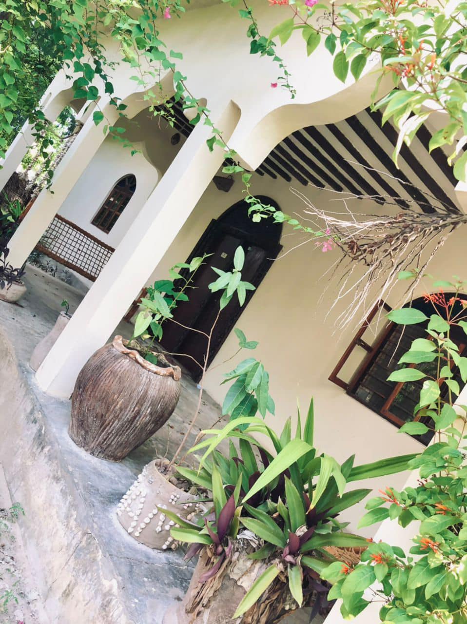 A beautiful house available for RENT in JAMBIANI/10142