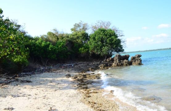 Fantastic beautiful beach plot for SALE/10140