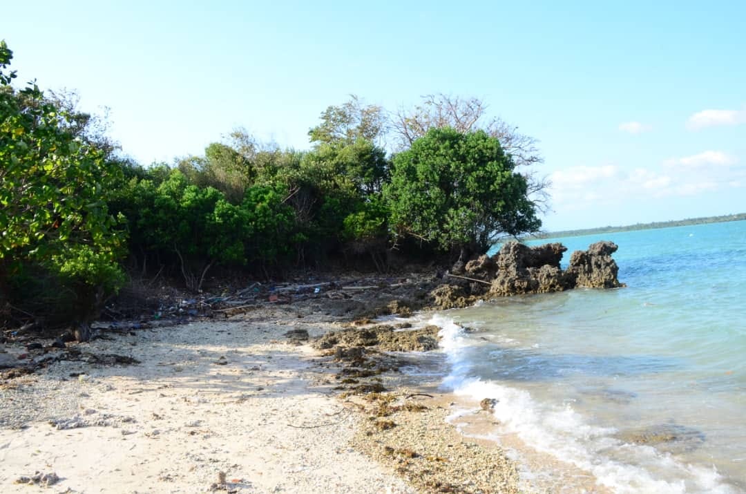 Fantastic beautiful beach plot for SALE/10140