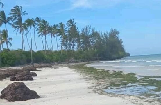 Beach plot for SALE in Pemba Zanzibar/10147