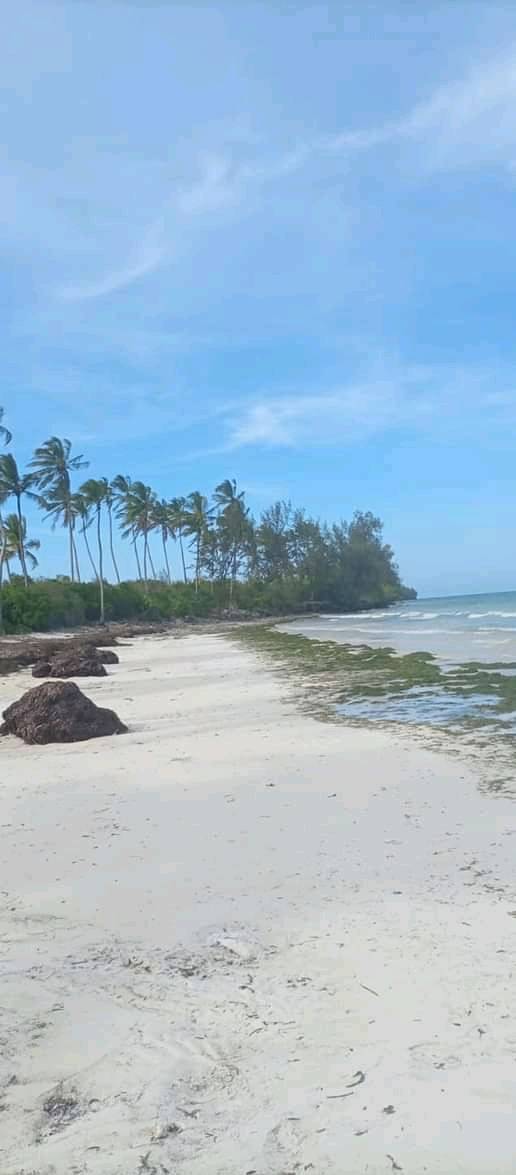 Beach plot for SALE in Pemba Zanzibar/10147