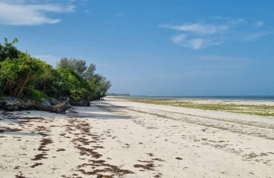 Beach plot FOR SALE  in JAMBIANI ZANZIBAR / 10164