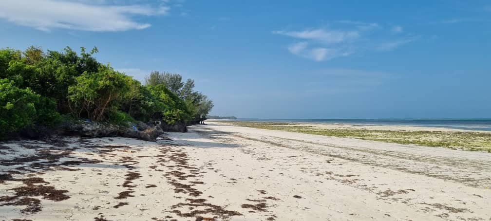 Beach plot FOR SALE  in JAMBIANI ZANZIBAR / 10164