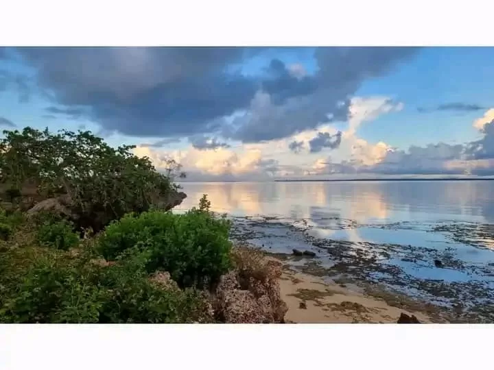 Beautiful Beach Plot FOR SALE  FUKUCHANI ZANZIBAR/ 10172