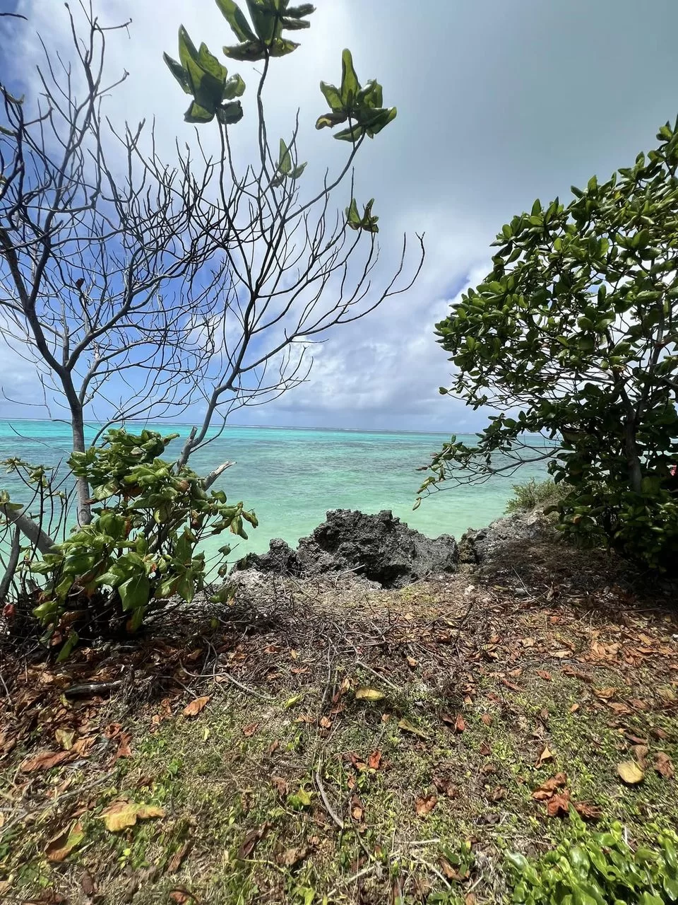 Beautiful Beachfront Plot Available FOR SALE in MAKUNDUCHI ZANZIBAR/ 10175