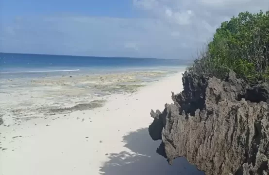 Beach Plot FOR SALE &#8211; JAMBIANI ZANZIBAR/ 10176