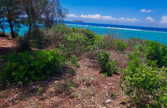 Ideal beach land for investment in MATEMWE- ZANZIBAR /10171