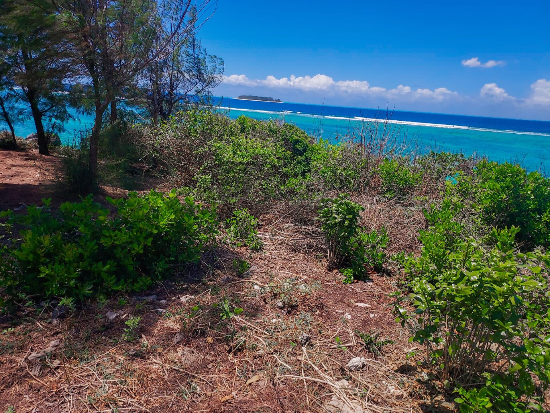 Ideal beach land for investment in MATEMWE- ZANZIBAR /10171