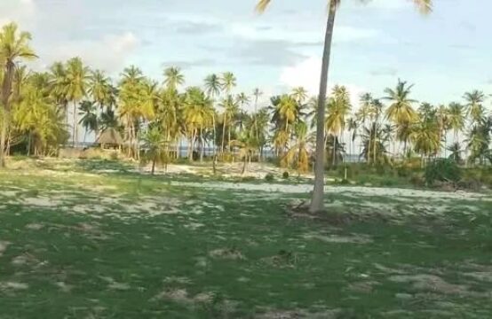 Beautiful land near the beach FOR SALE in BWEJUU -ZANZIBAR/ 10193