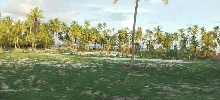 Beautiful land near the beach FOR SALE in BWEJUU -ZANZIBAR/ 10193
