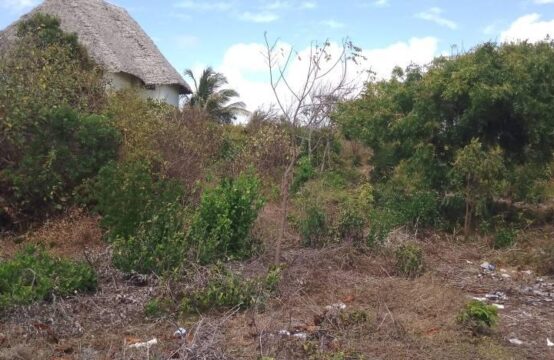 Small beach land FOR SALE in MAKUNDUCHI- ZANZIBAR / 10194