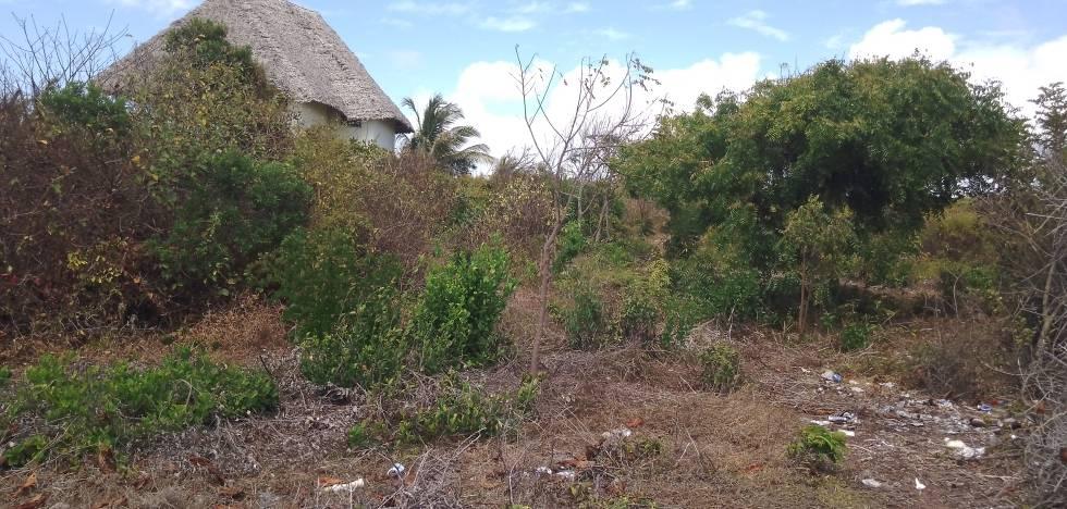 Small beach land FOR SALE in MAKUNDUCHI- ZANZIBAR / 10194