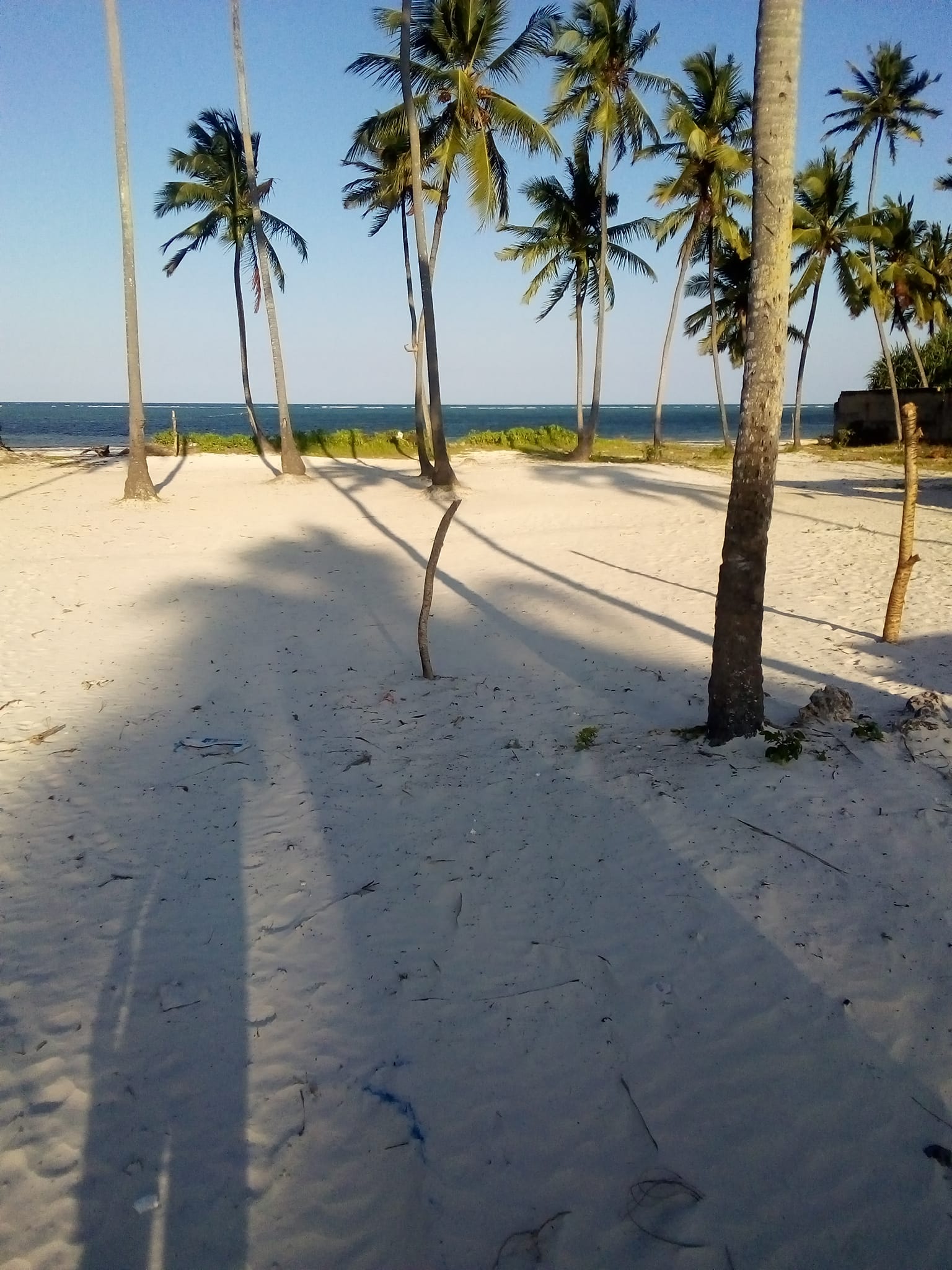 Beachfront plot FOR SALE in MATEMWE-ZANZIBAR/10195