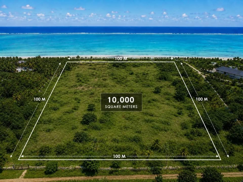 Exclusive Beachfront Land for Sale in Jambiani, Zanzibar / 10214
